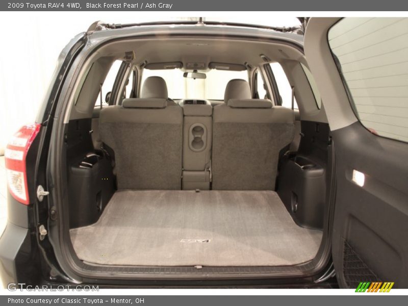 Black Forest Pearl / Ash Gray 2009 Toyota RAV4 4WD
