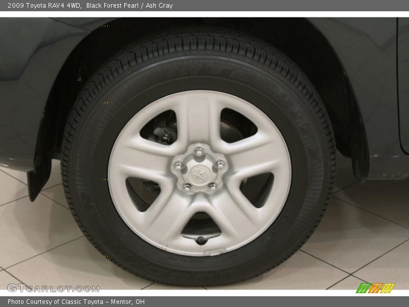 Black Forest Pearl / Ash Gray 2009 Toyota RAV4 4WD