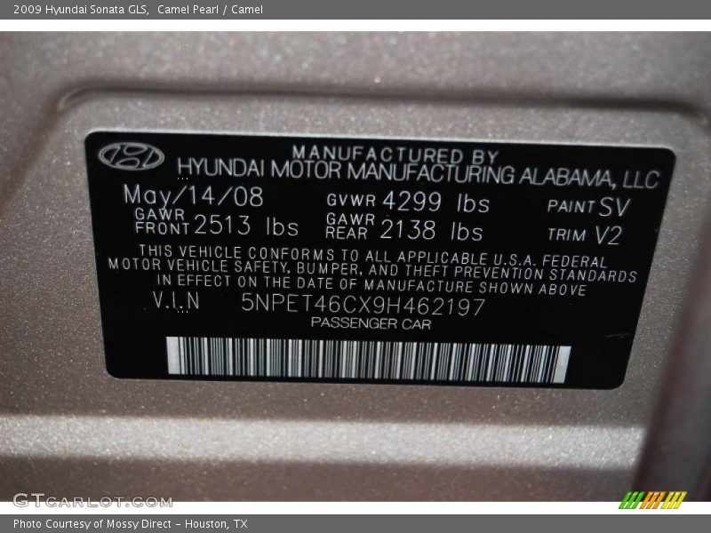 Camel Pearl / Camel 2009 Hyundai Sonata GLS