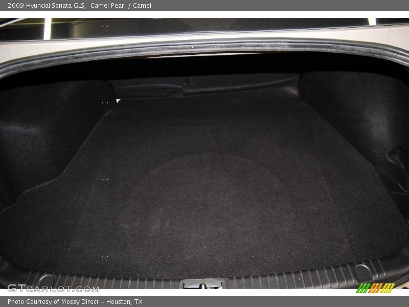 Camel Pearl / Camel 2009 Hyundai Sonata GLS