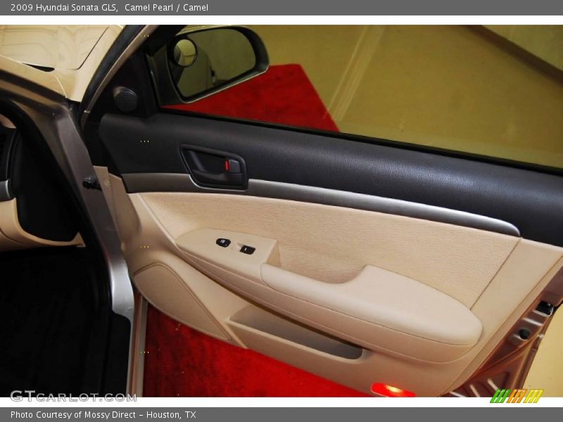 Camel Pearl / Camel 2009 Hyundai Sonata GLS