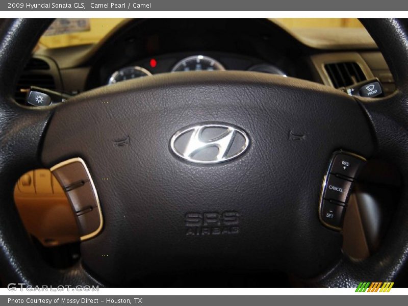 Camel Pearl / Camel 2009 Hyundai Sonata GLS