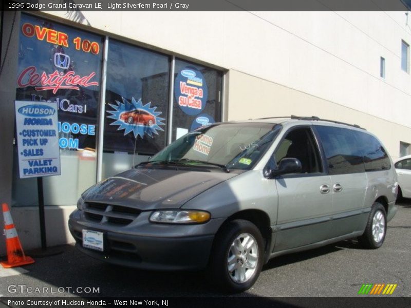 Light Silverfern Pearl / Gray 1996 Dodge Grand Caravan LE