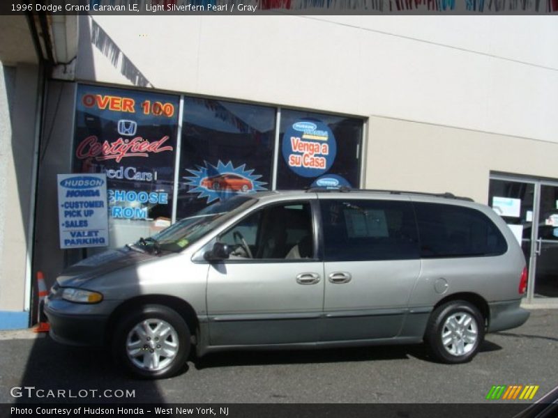 Light Silverfern Pearl / Gray 1996 Dodge Grand Caravan LE