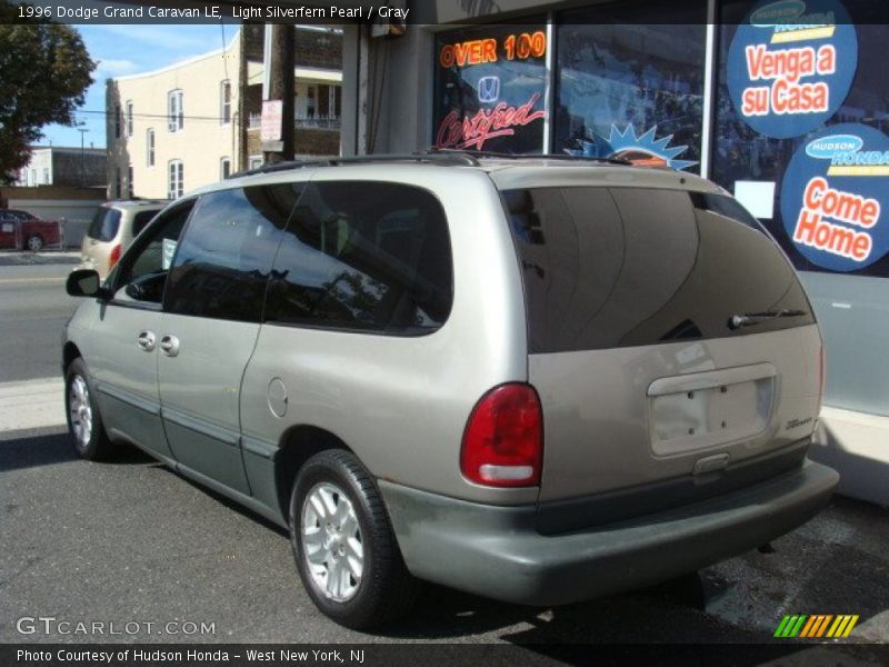 Light Silverfern Pearl / Gray 1996 Dodge Grand Caravan LE