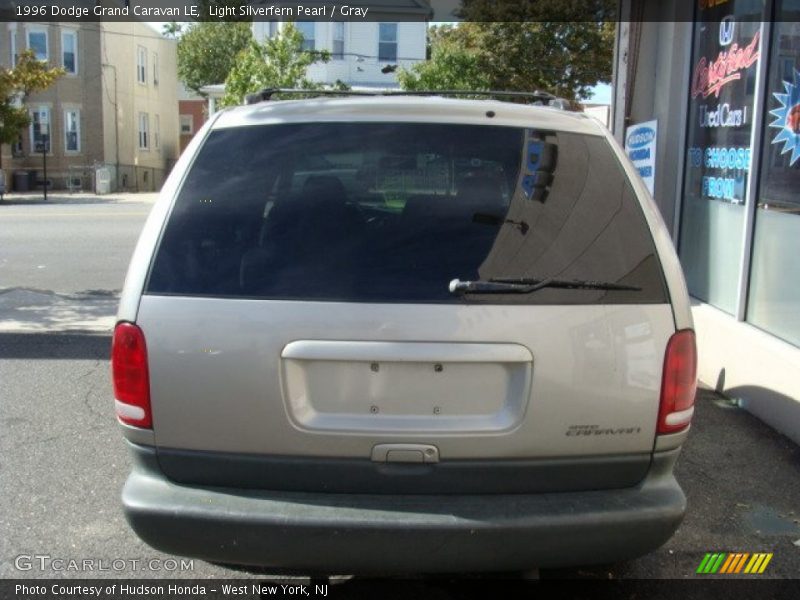 Light Silverfern Pearl / Gray 1996 Dodge Grand Caravan LE