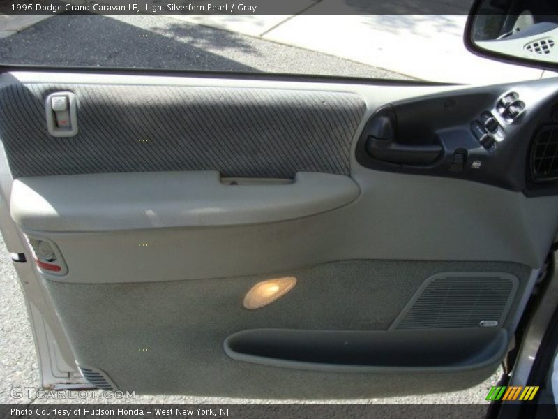 Light Silverfern Pearl / Gray 1996 Dodge Grand Caravan LE