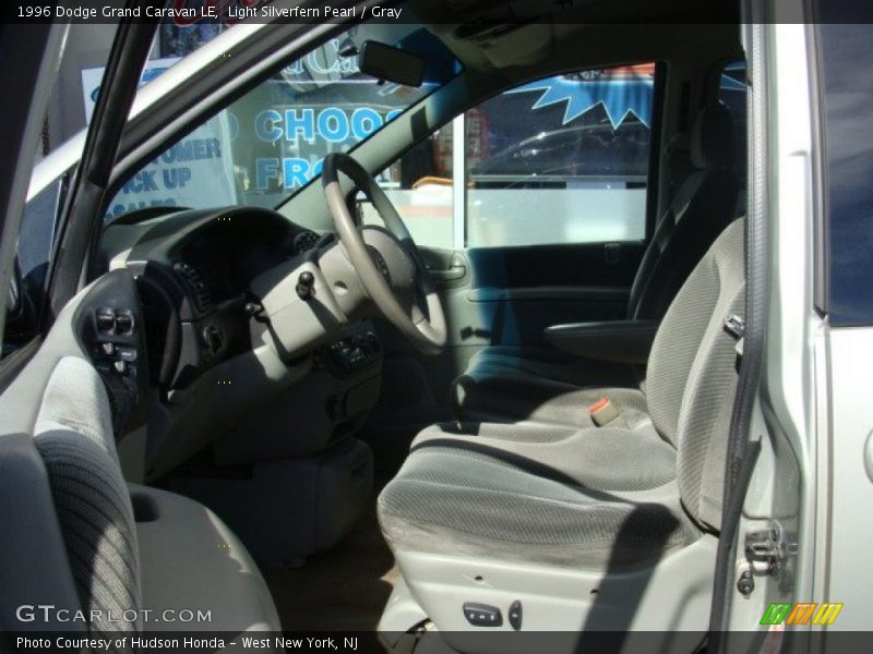 Light Silverfern Pearl / Gray 1996 Dodge Grand Caravan LE