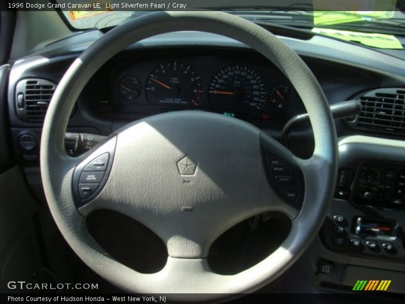 Light Silverfern Pearl / Gray 1996 Dodge Grand Caravan LE