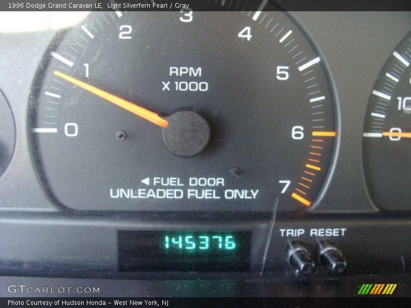 Light Silverfern Pearl / Gray 1996 Dodge Grand Caravan LE
