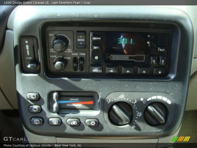 Light Silverfern Pearl / Gray 1996 Dodge Grand Caravan LE
