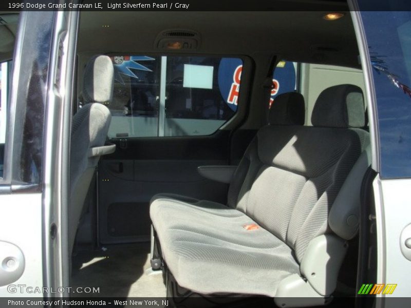Light Silverfern Pearl / Gray 1996 Dodge Grand Caravan LE