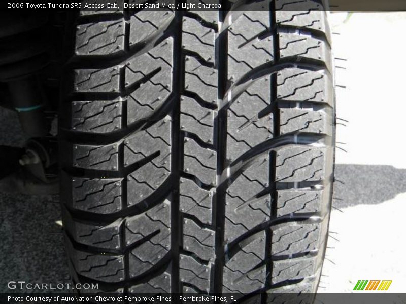 Desert Sand Mica / Light Charcoal 2006 Toyota Tundra SR5 Access Cab