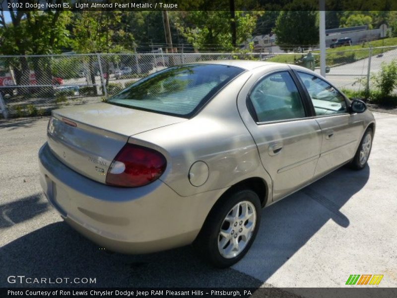 Light Almond Pearl Metallic / Taupe 2002 Dodge Neon ES