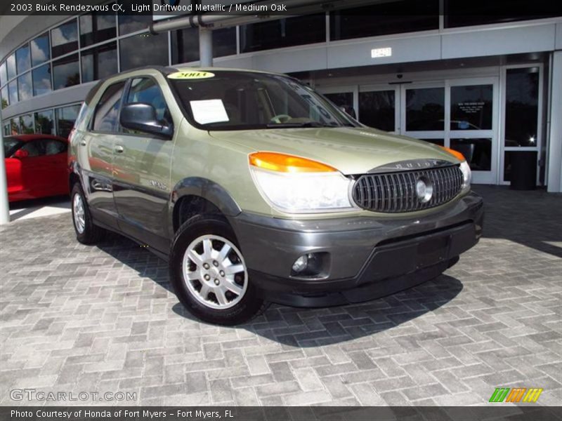 Light Driftwood Metallic / Medium Oak 2003 Buick Rendezvous CX