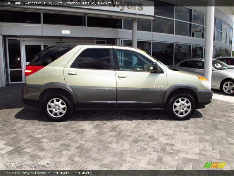 Light Driftwood Metallic / Medium Oak 2003 Buick Rendezvous CX