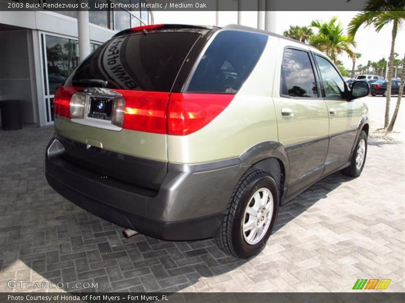 Light Driftwood Metallic / Medium Oak 2003 Buick Rendezvous CX