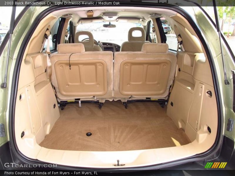 Light Driftwood Metallic / Medium Oak 2003 Buick Rendezvous CX