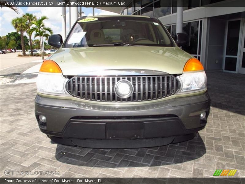Light Driftwood Metallic / Medium Oak 2003 Buick Rendezvous CX