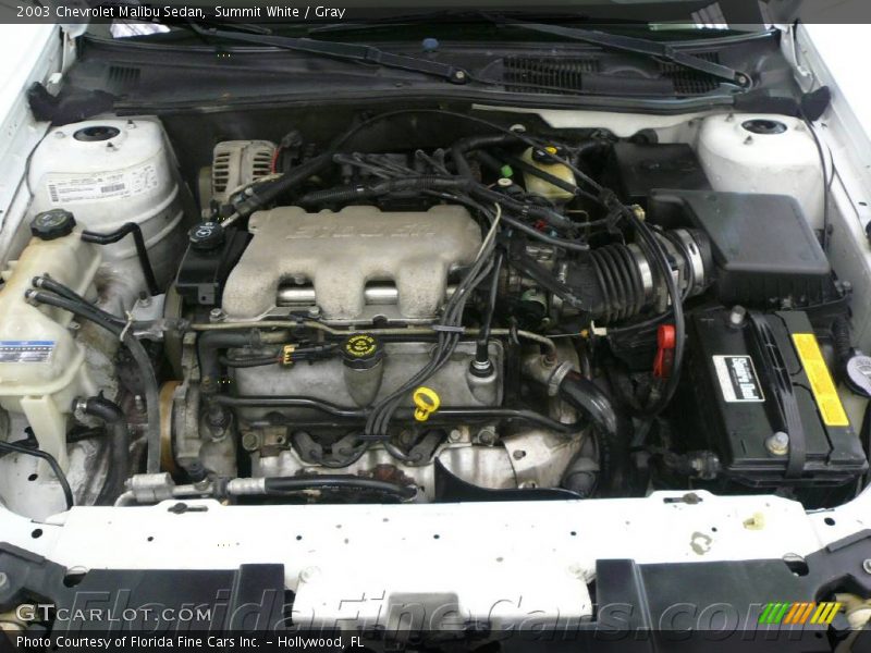 Summit White / Gray 2003 Chevrolet Malibu Sedan