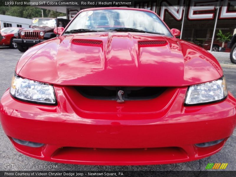 Rio Red / Medium Parchment 1999 Ford Mustang SVT Cobra Convertible
