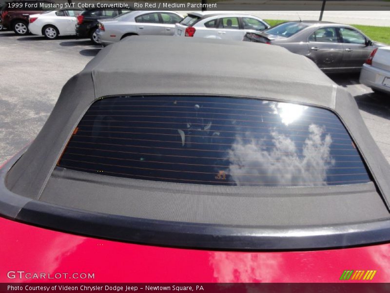 Rio Red / Medium Parchment 1999 Ford Mustang SVT Cobra Convertible