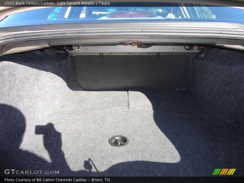Light Sandrift Metallic / Taupe 2003 Buick Century Custom