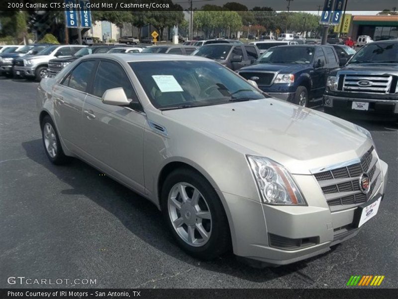 Gold Mist / Cashmere/Cocoa 2009 Cadillac CTS Sedan