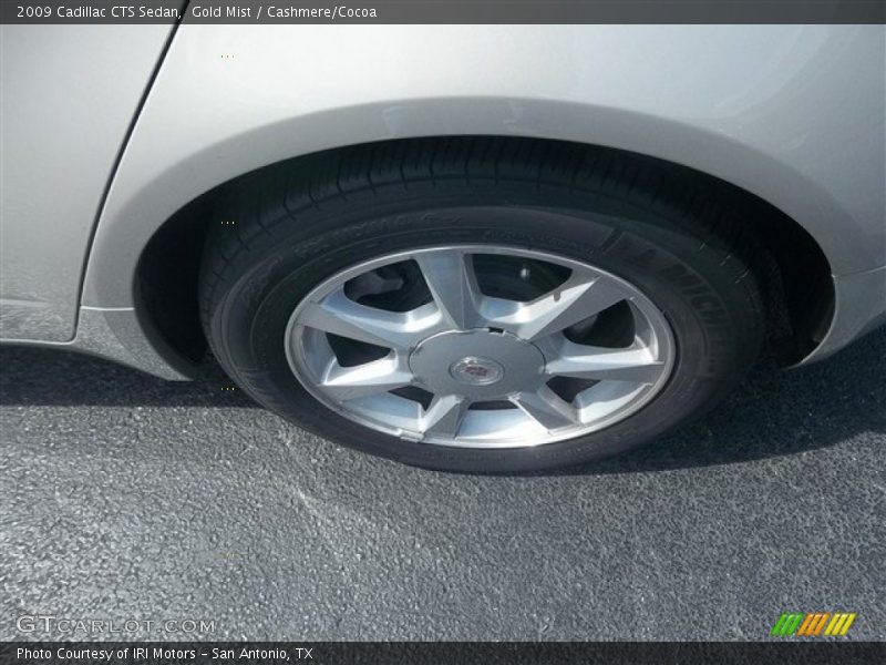 Gold Mist / Cashmere/Cocoa 2009 Cadillac CTS Sedan