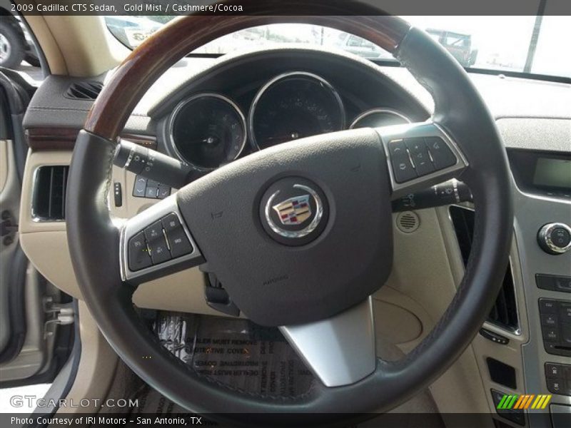 Gold Mist / Cashmere/Cocoa 2009 Cadillac CTS Sedan