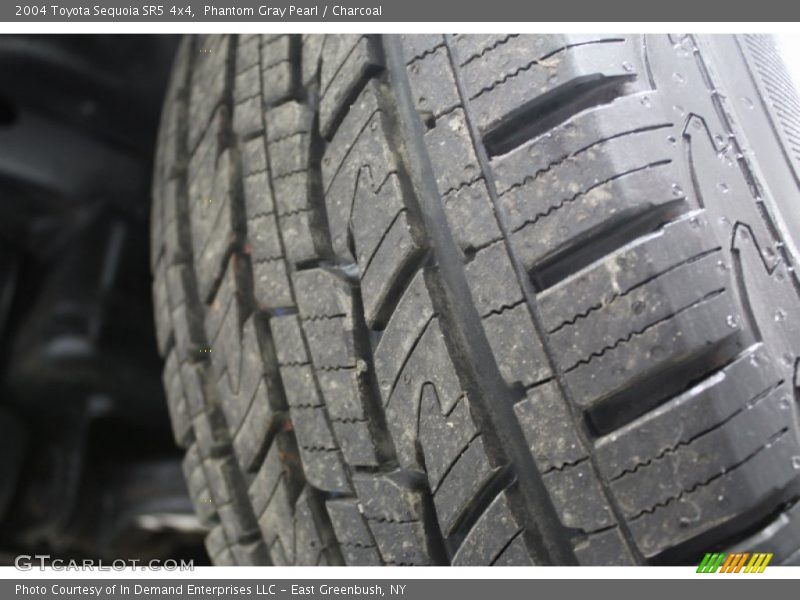 Phantom Gray Pearl / Charcoal 2004 Toyota Sequoia SR5 4x4