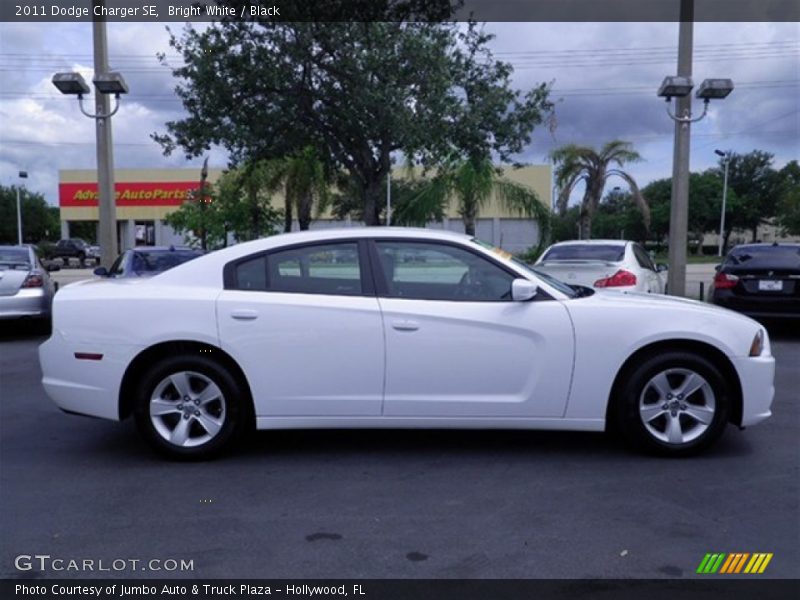 Bright White / Black 2011 Dodge Charger SE