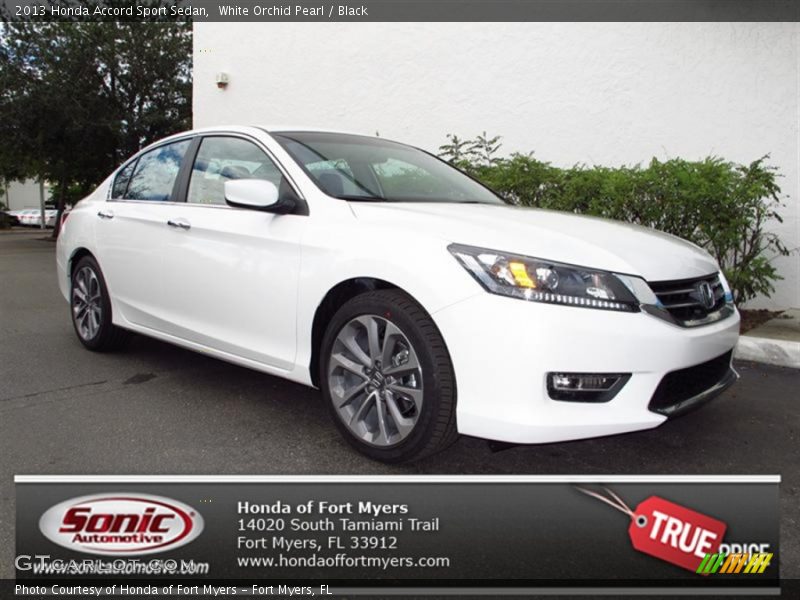 White Orchid Pearl / Black 2013 Honda Accord Sport Sedan
