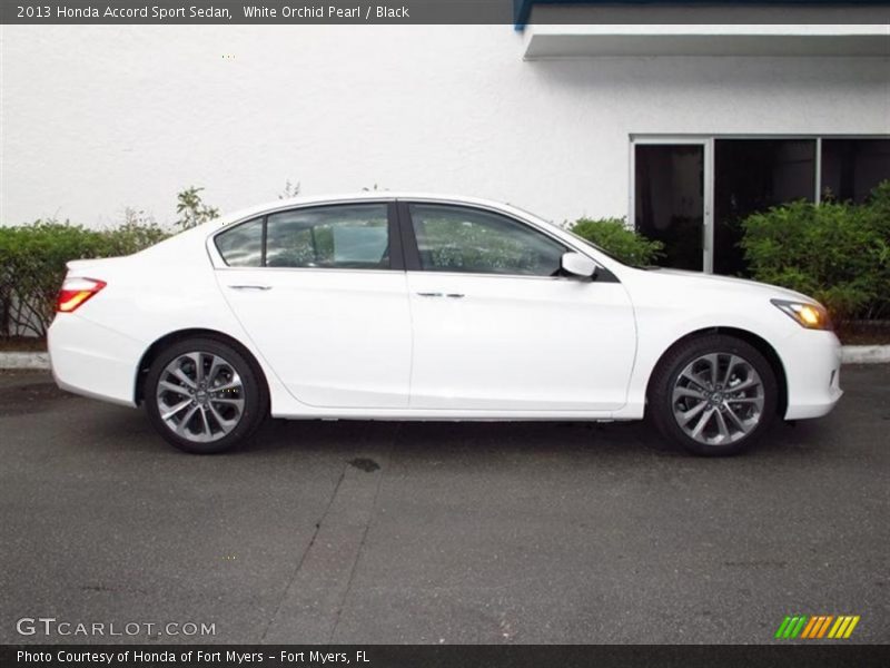  2013 Accord Sport Sedan White Orchid Pearl