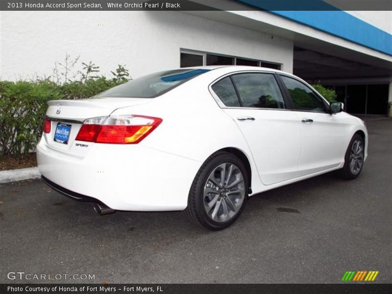 White Orchid Pearl / Black 2013 Honda Accord Sport Sedan