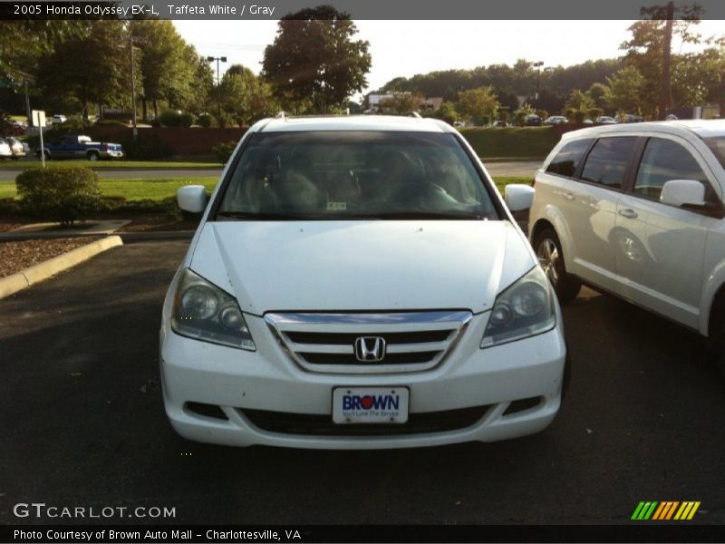 Taffeta White / Gray 2005 Honda Odyssey EX-L