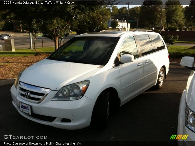Taffeta White / Gray 2005 Honda Odyssey EX-L