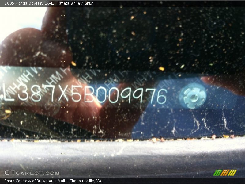 Taffeta White / Gray 2005 Honda Odyssey EX-L