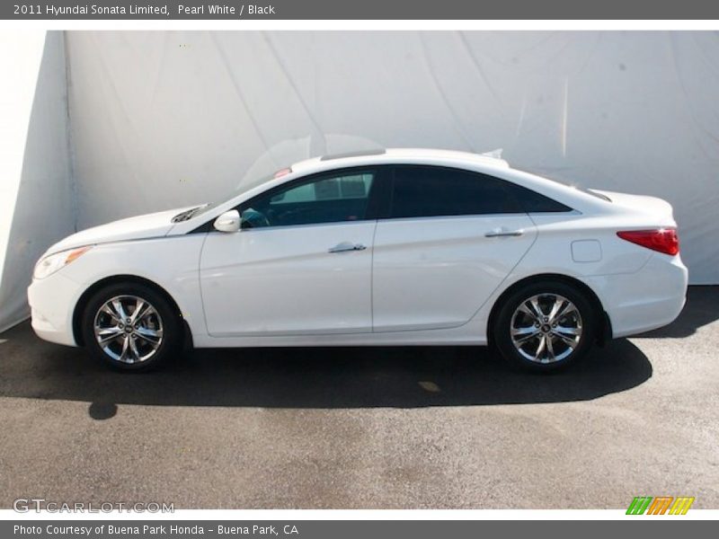 Pearl White / Black 2011 Hyundai Sonata Limited