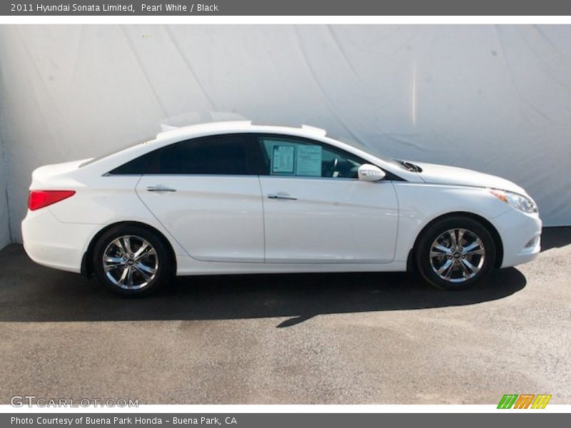 Pearl White / Black 2011 Hyundai Sonata Limited