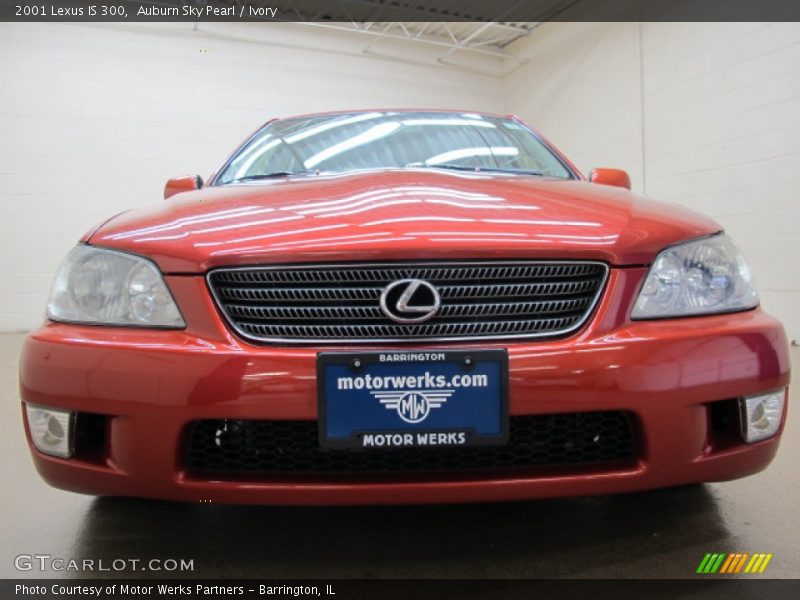 Auburn Sky Pearl / Ivory 2001 Lexus IS 300