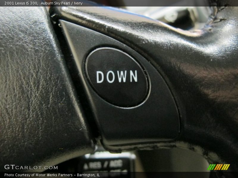 Auburn Sky Pearl / Ivory 2001 Lexus IS 300