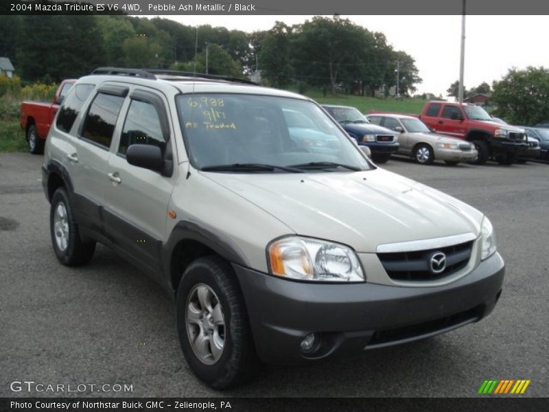 Pebble Ash Metallic / Black 2004 Mazda Tribute ES V6 4WD
