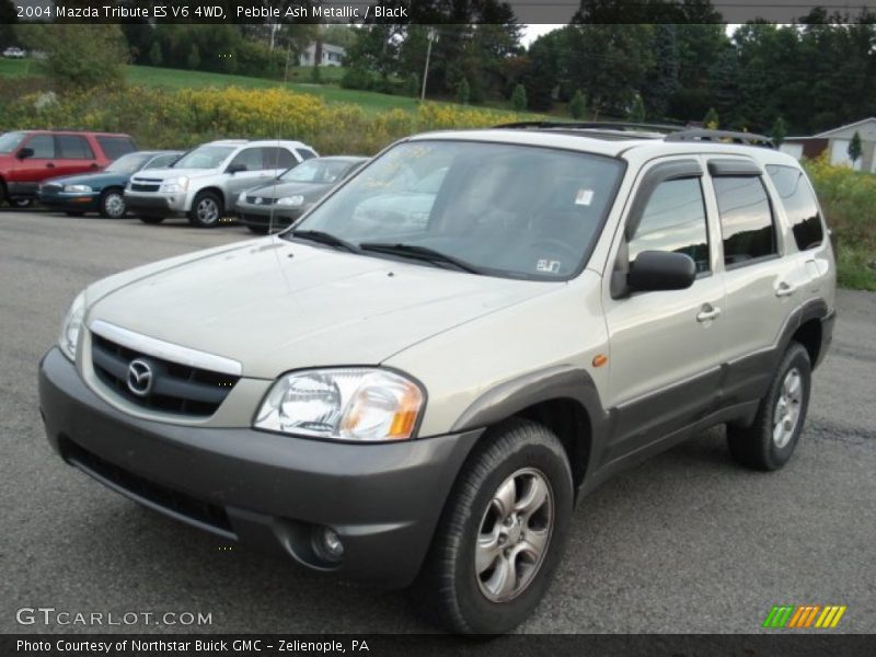 Pebble Ash Metallic / Black 2004 Mazda Tribute ES V6 4WD