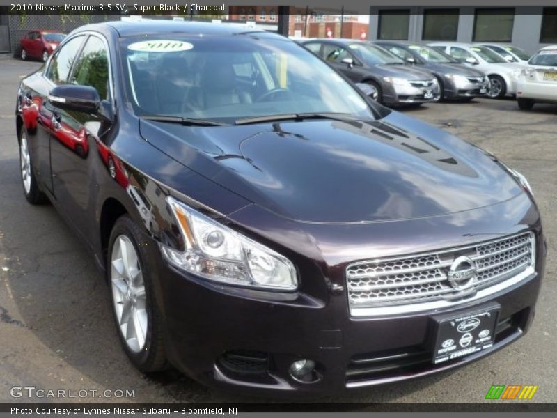 Super Black / Charcoal 2010 Nissan Maxima 3.5 SV