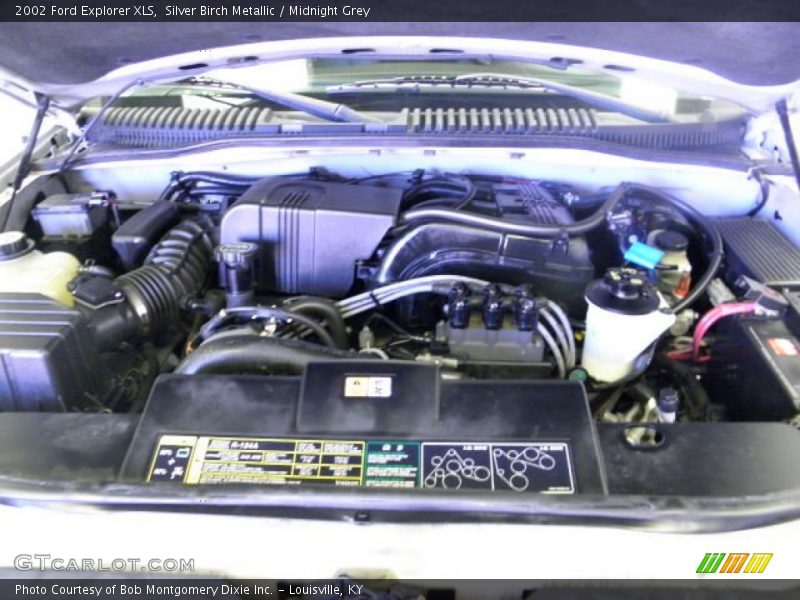 Silver Birch Metallic / Midnight Grey 2002 Ford Explorer XLS