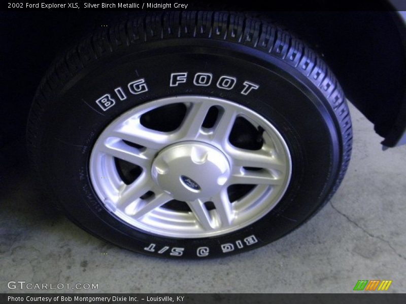 Silver Birch Metallic / Midnight Grey 2002 Ford Explorer XLS