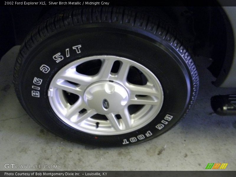 Silver Birch Metallic / Midnight Grey 2002 Ford Explorer XLS