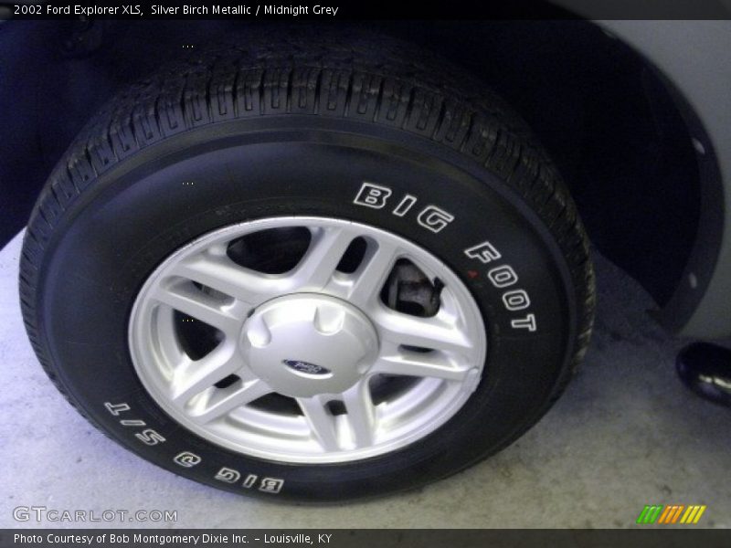 Silver Birch Metallic / Midnight Grey 2002 Ford Explorer XLS