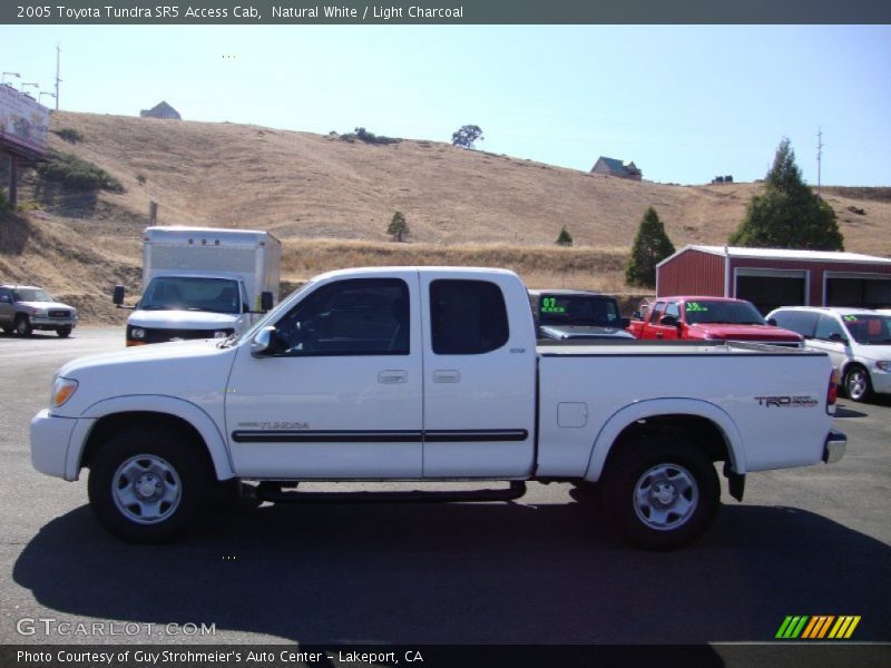 Natural White / Light Charcoal 2005 Toyota Tundra SR5 Access Cab